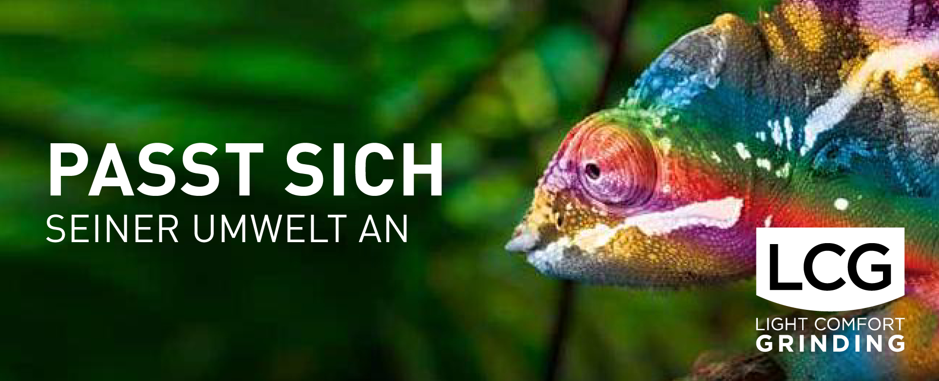 Passt sich seiner Umwelt an
